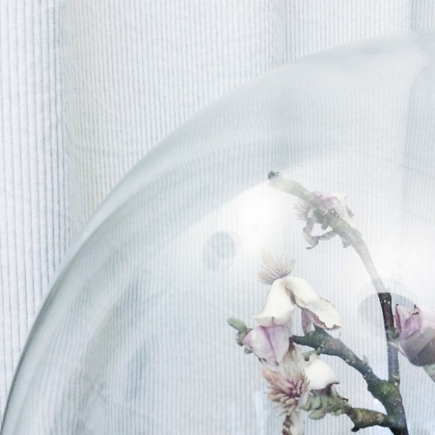 #flowers #orb #glas #design #straightdesign #magnolia