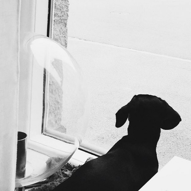 #office #buddy #doxie #orb #straightdesign #måndag #klong #rbg12 #swedishdesign #vas #inredning