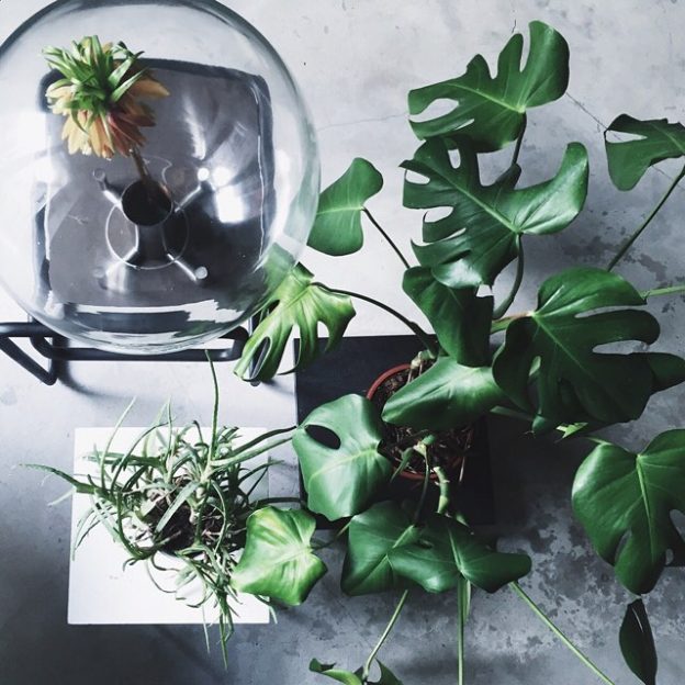 #orb #prototype #straightdesign #swedishdesign #stockholm #klong #vase #klongvas #productdesign #scandinaviandesign #steel #glass #djungle #plants #interior