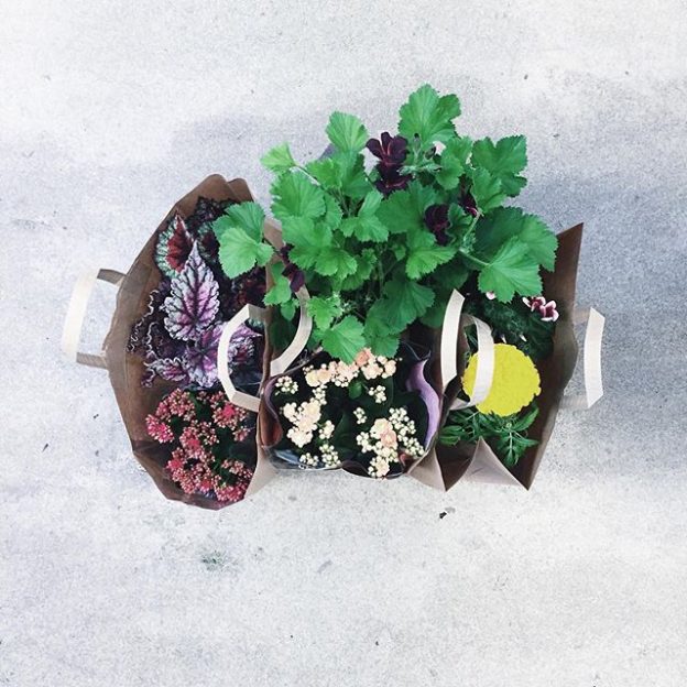 #scandicanglais809 #rum809 #straightdesign #stockholm #sweden #flowers #blomsterfrämjandet #svenskodlat #interiordesign #scandinaviandesign #årstapartihallar