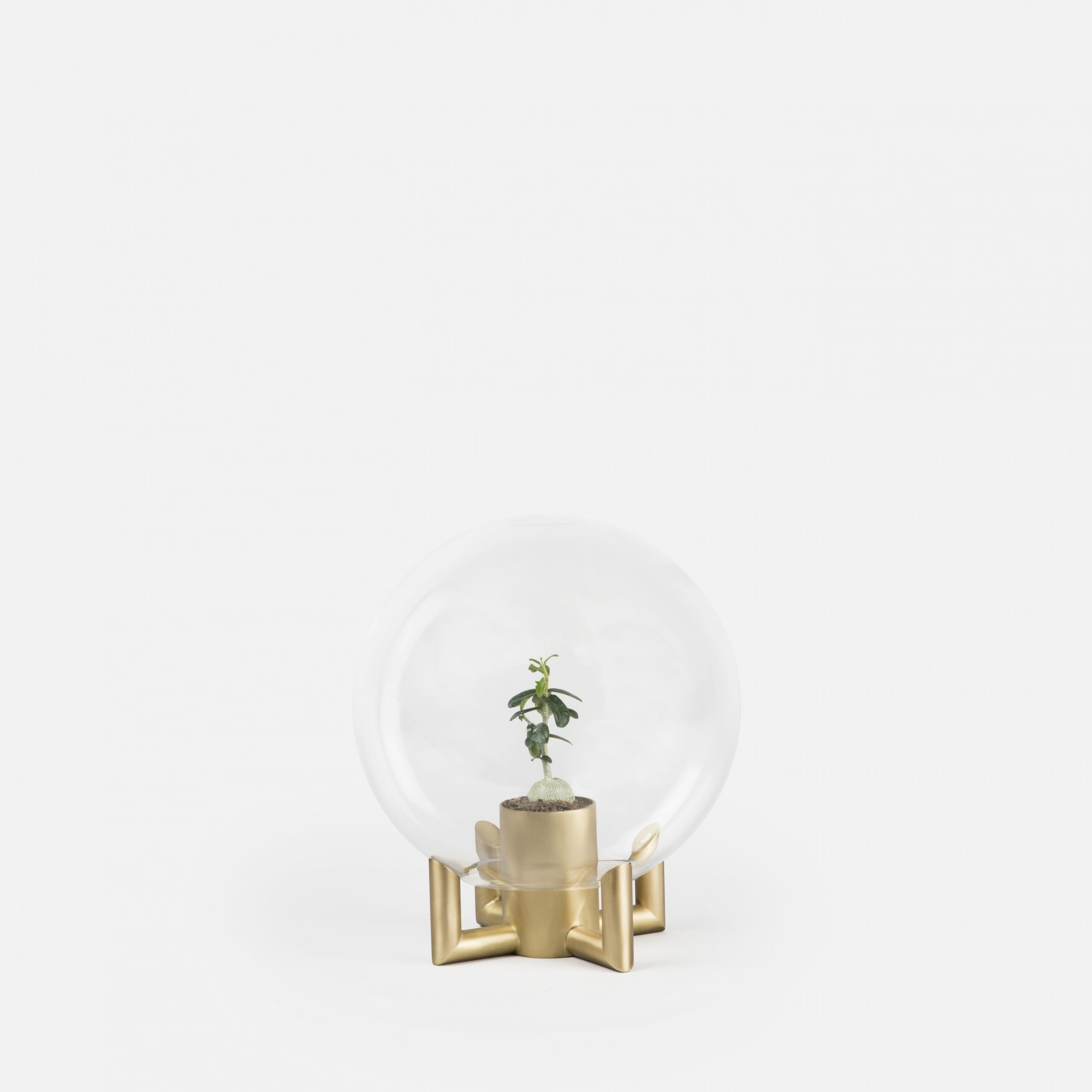Orb – Klong