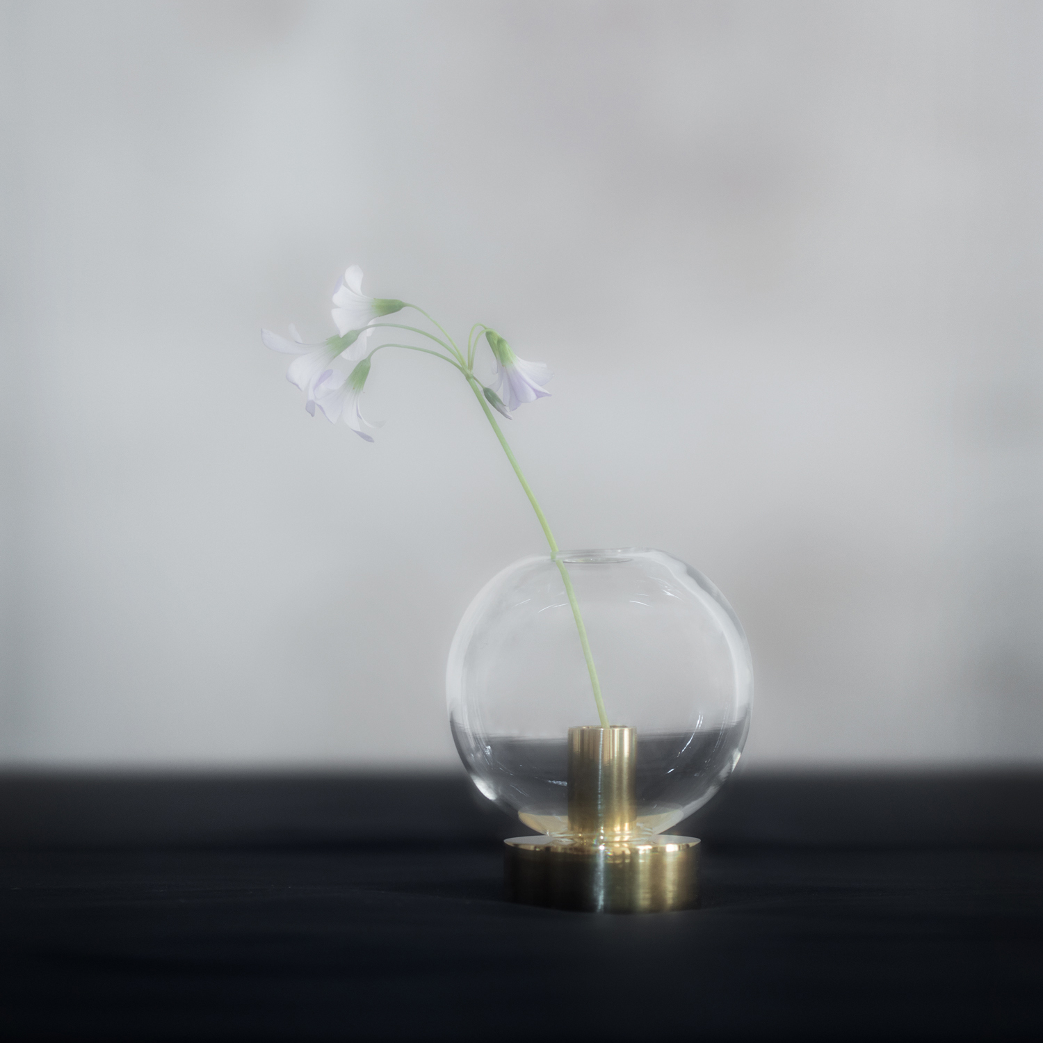 Orbis – Klong