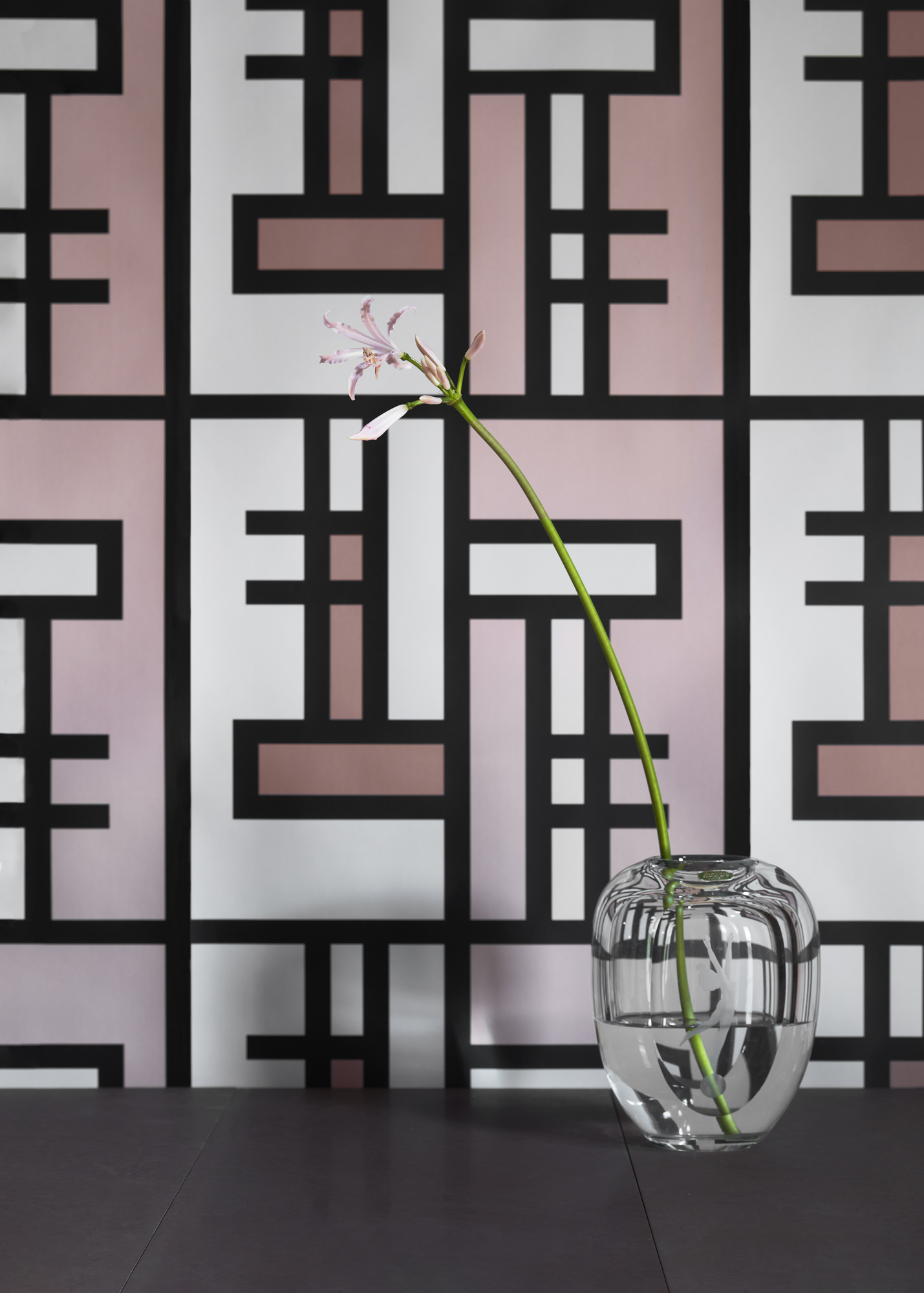 Find Me in the Corner – Photowall