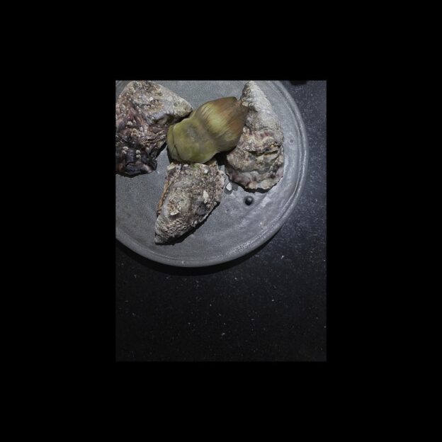 Oysters, great stories and desert.Thank you for joining us!