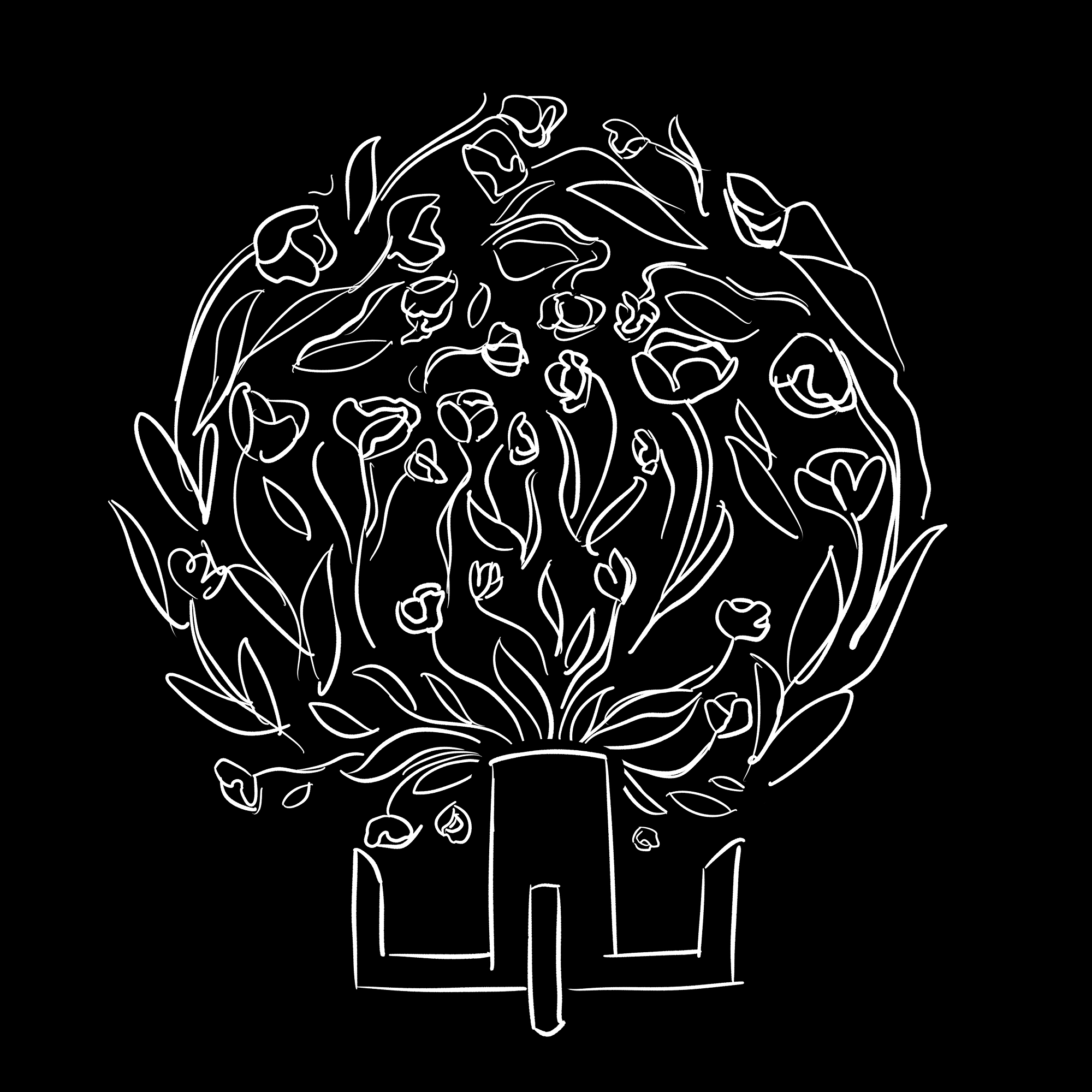 Tulip