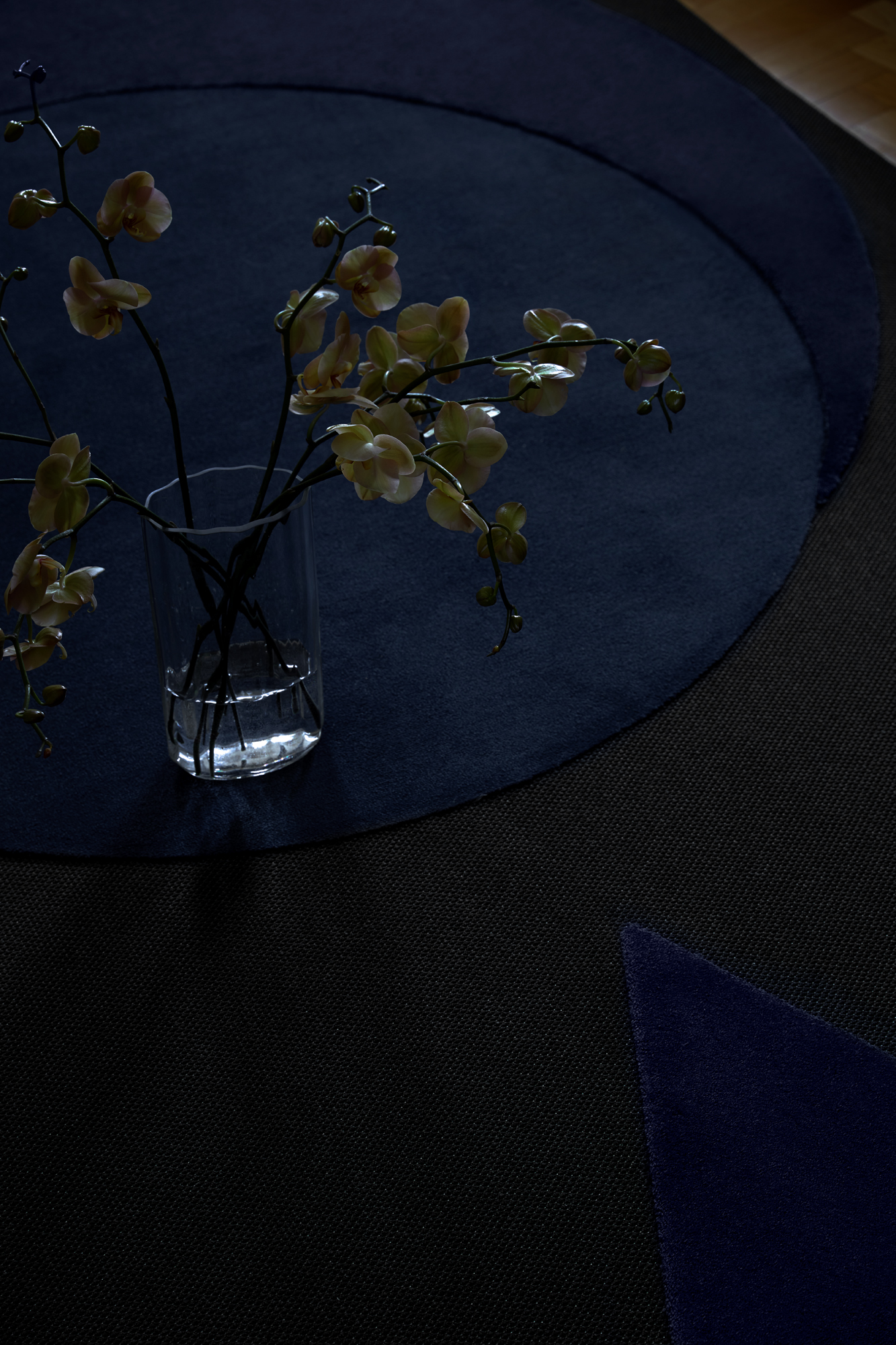 Five Days Carpet Challenge – Stoddard