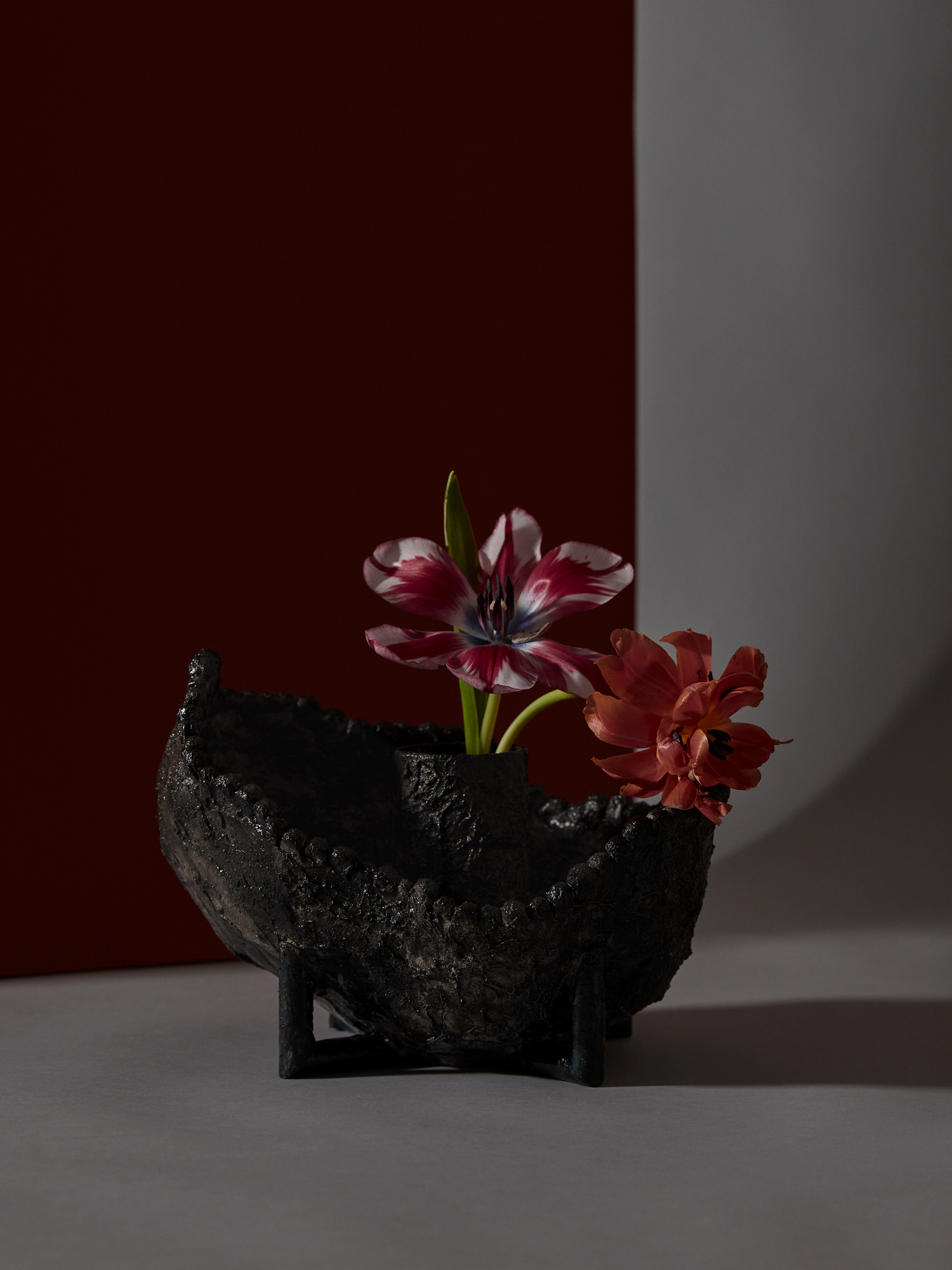 Tulip