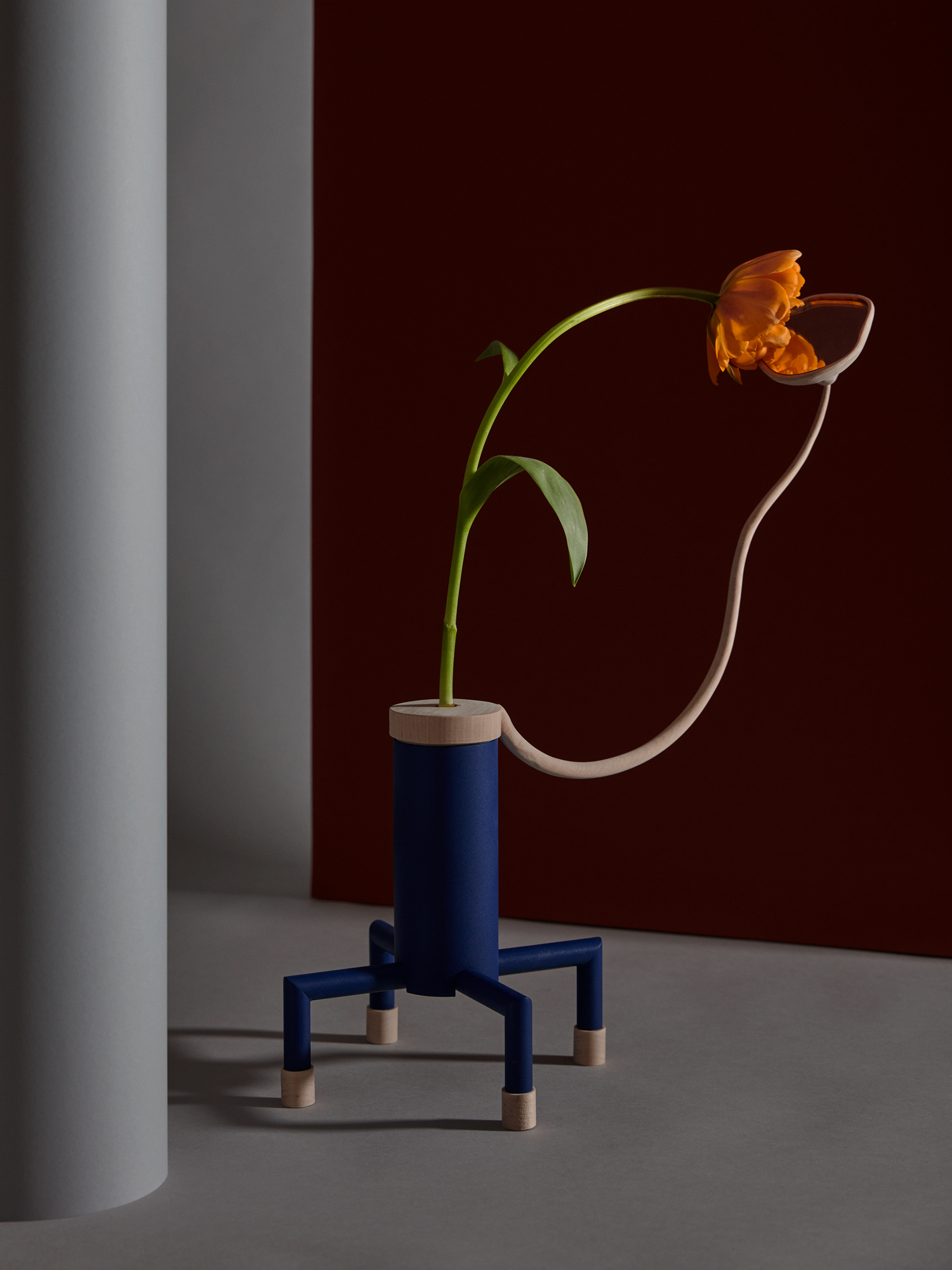 Tulip