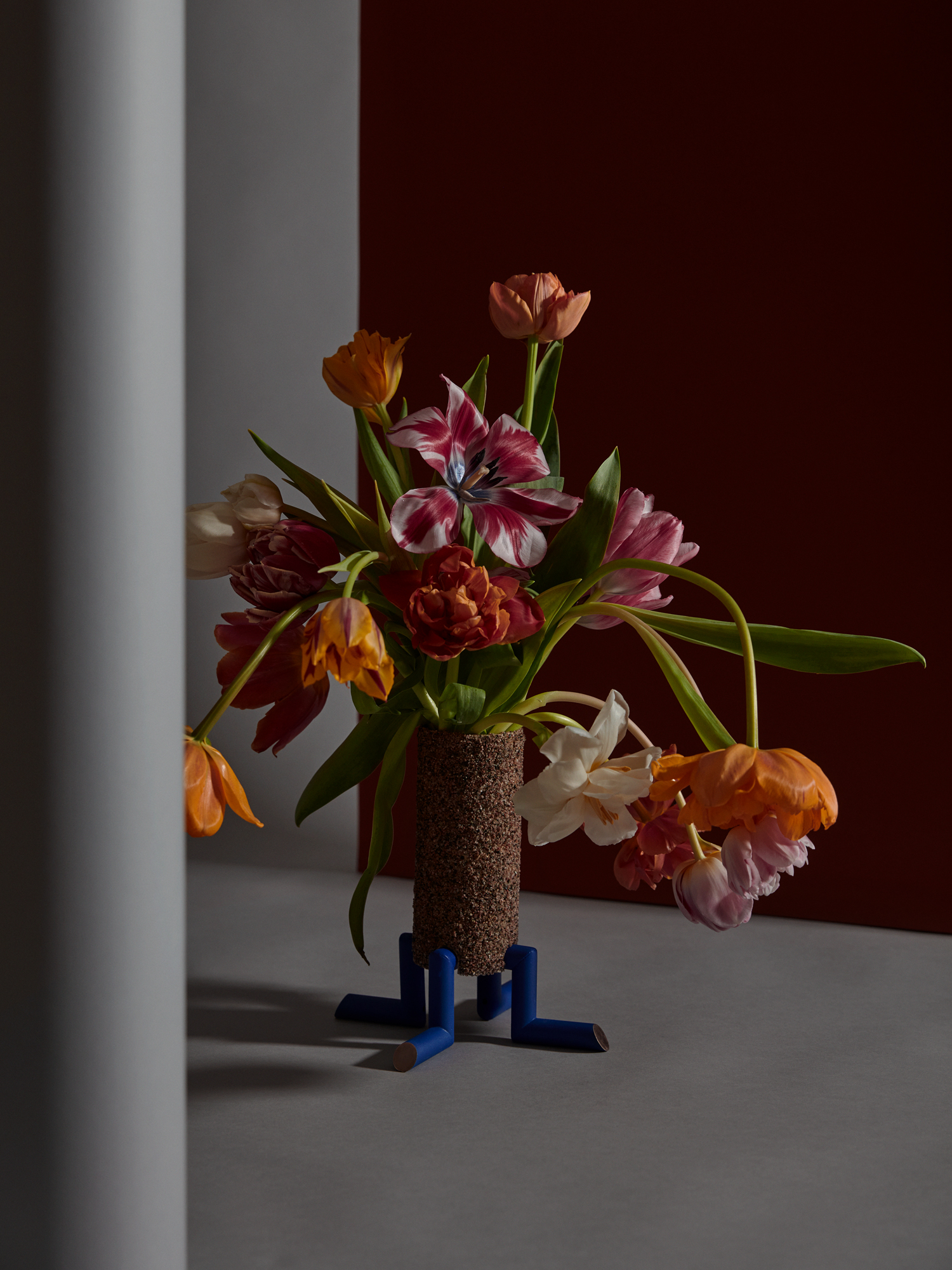 Tulip