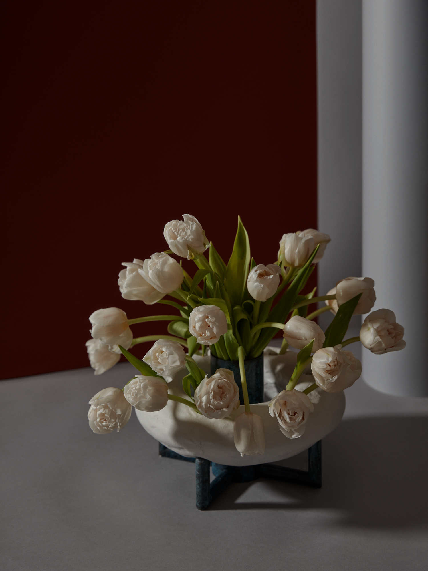 Tulip