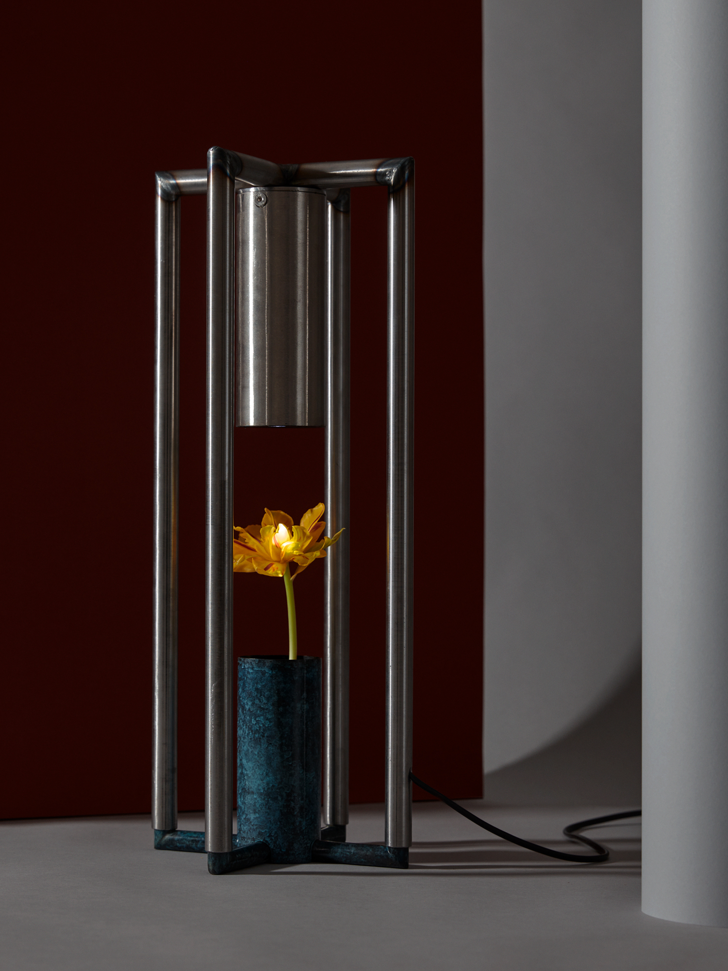 Tulip
