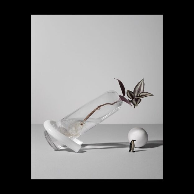 Tales From the Arctic Zone.Artefact No 3 interpreted by Cecilia Tivar and Mathilda Werngren.#talesofartefactno3