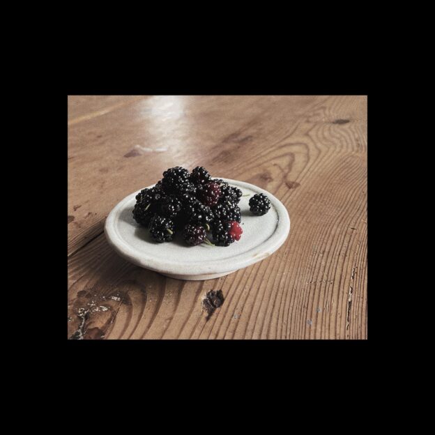A small mulberry harvest on Artefact No 9.